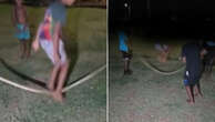 Dead python used as a skipping rope by children