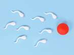 Men with superior sperm quality live longer