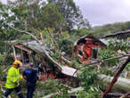 Cyclone Alfred brings trees down, home crushed