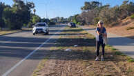 Car ‘deliberately’ slaughtered flock of native birds