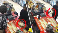 Ssswindled: Slippery thieves use pythons to rattle cashier