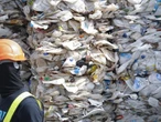 Japanese develop plastic that dissolves in seawater