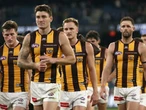 Mitchell pinpoints key to Hawks' revival in Dogs test