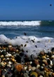 David Attenborough's Ocean a wake-up call from the sea