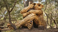 Mandurah’s iconic giant amputated after grim discovery