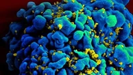 ‘Overwhelmed’: Major virus breakthrough