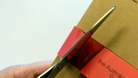 How red tape removal became a progressive rallying cry