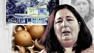 ‘I love mushrooms’: Accused killer cook’s explosive evidence