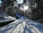 Heavy snow strands drivers and hikers as chill sets in