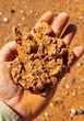 Two mates strike gold after finding $160k nugget in WA