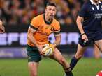 Wallabies star backs Schmidt for consultancy role