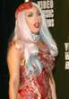 Lady Gaga reveals if she'd wear a controversial meat dress again