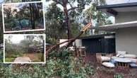 Perth Hills ‘tornado’ clean-up begins as homes without power