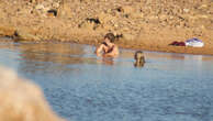 Terrifying encounter with predator at WA swimming hole