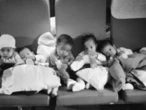 Poignant salute to tragic heroes of historic 'babylift'