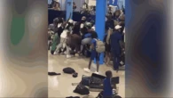 Leading cruise ship line bans 24 people after violent brawl