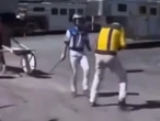 WATCH: Harness driver suspended after whipping rival