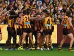 Clarko back as Hawks mark centenary with Tiger mauling