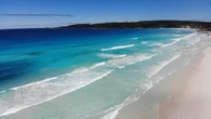 Whale stranding sparks shark warning on south coast