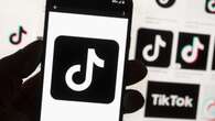 Tiktok request to temporarily halt US ban rejected