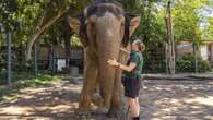 Perth Now exclusivePerth Zoo’s female elephant Permai to leave city next month