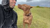 Liam Gallagher receives PETA Award for adopting rescue dog Buttons