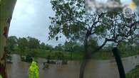 Teen girls cling to tree for two hours after trying to swim in floodwaters