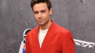 Liam Payne's love song inspired by Naomi Campbell?