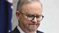 ‘Dumb’: Senator lashes Albo over Qantas scandal