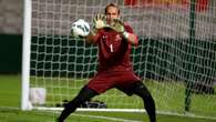 Ex-Socceroo Schwarzer lands influential FA role