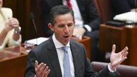 Labor being ‘weak on Hamas’: Birmingham