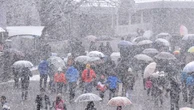 Warning issued against eating fresh snow