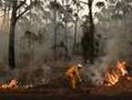 Aussie film shows global warming is changing childhood