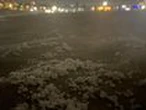 ‘Snowing in Bondi’: Wild scenes at beach