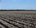 Farmer's land clearing Kyoto case turfed