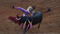 Mexico City bans violent bullfighting amid protests