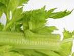 Celery consumption may stop grey hairs