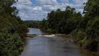 Movers muster into Gympie and other towns off the track