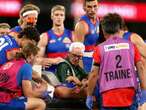 Dogs coach doesn't expect action over horror collision