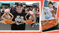 Seafood lovers gather for good claws at Crab Fest