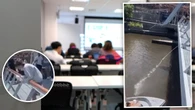 Teen behind milk prank cops dreaded punishment