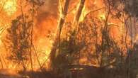 Cash relief announced for bushfire victims