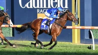 Early preview: Missile Stakes final field and barrier draw