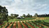 Iconic Margaret River winery announces closure