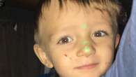 3yo boy killed at showground’s great love