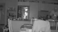 Mum’s horror as thieves seen on nanny cam