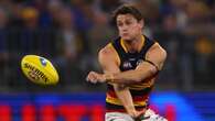 Police probe Adelaide's Crouch for clash with Port fan