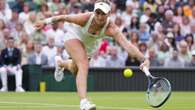 Injury-hit Vondrousova, Norrie pull out of US Open