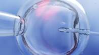 ‘Guinea pigs’: $56m embryo settlement