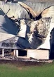 Man in court on murder charge after deadly house fire